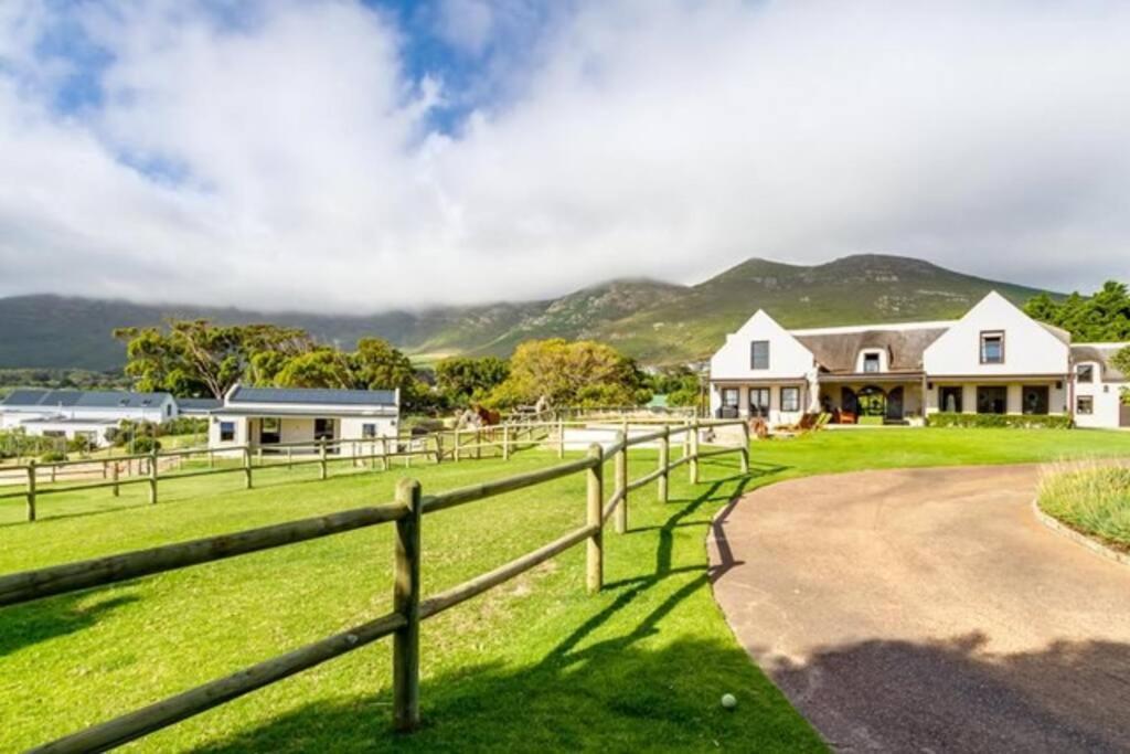 Serene, Thatched Apartment In Noordhoek, Cape Town Ngoại thất bức ảnh