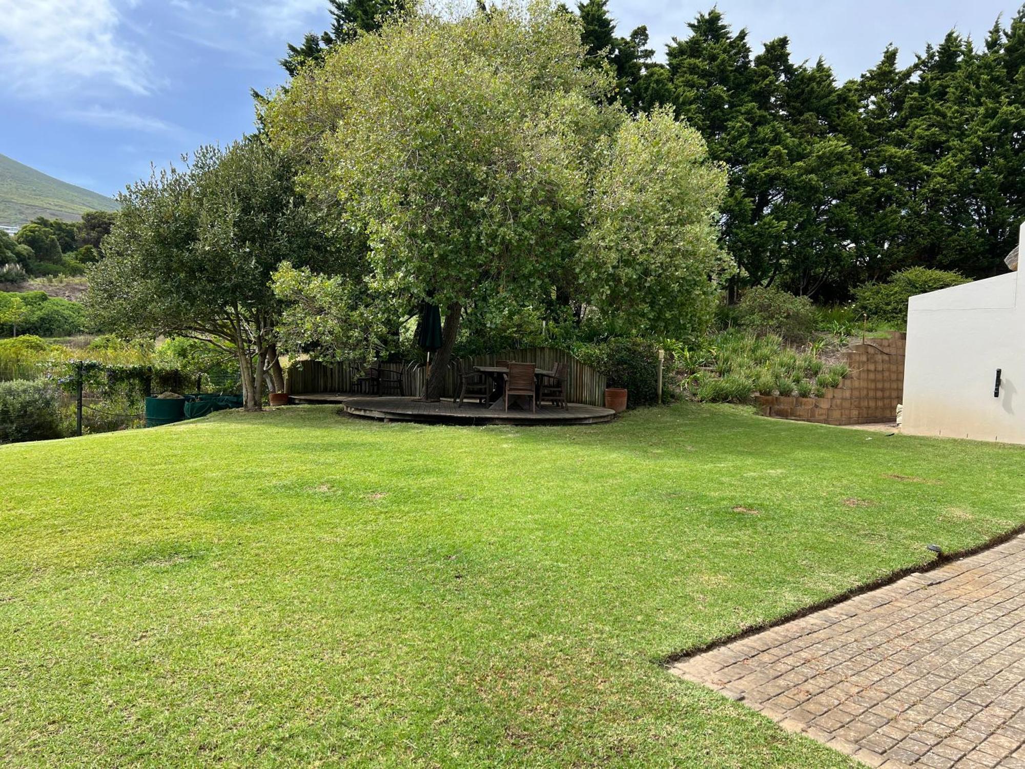 Serene, Thatched Apartment In Noordhoek, Cape Town Ngoại thất bức ảnh