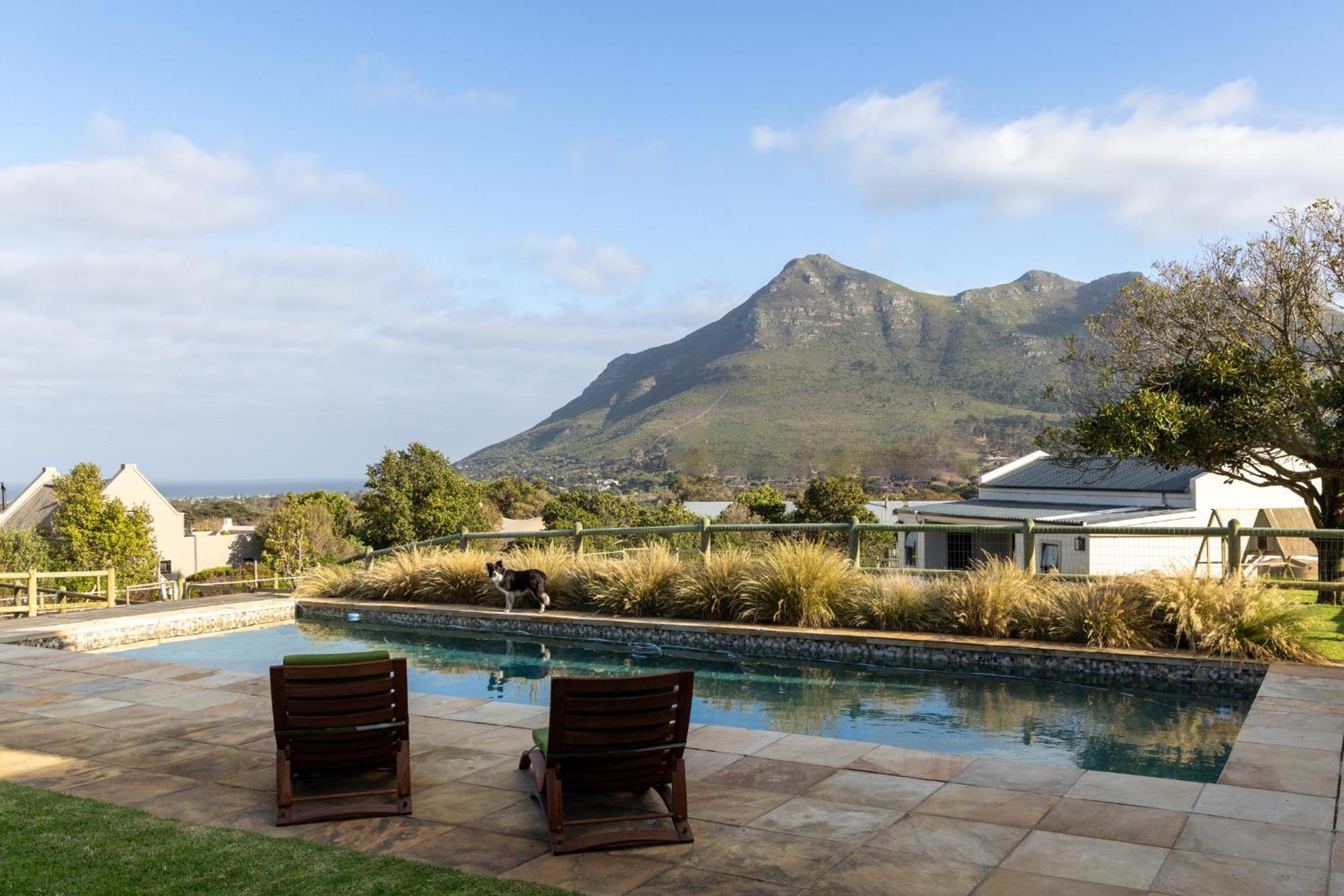 Serene, Thatched Apartment In Noordhoek, Cape Town Ngoại thất bức ảnh