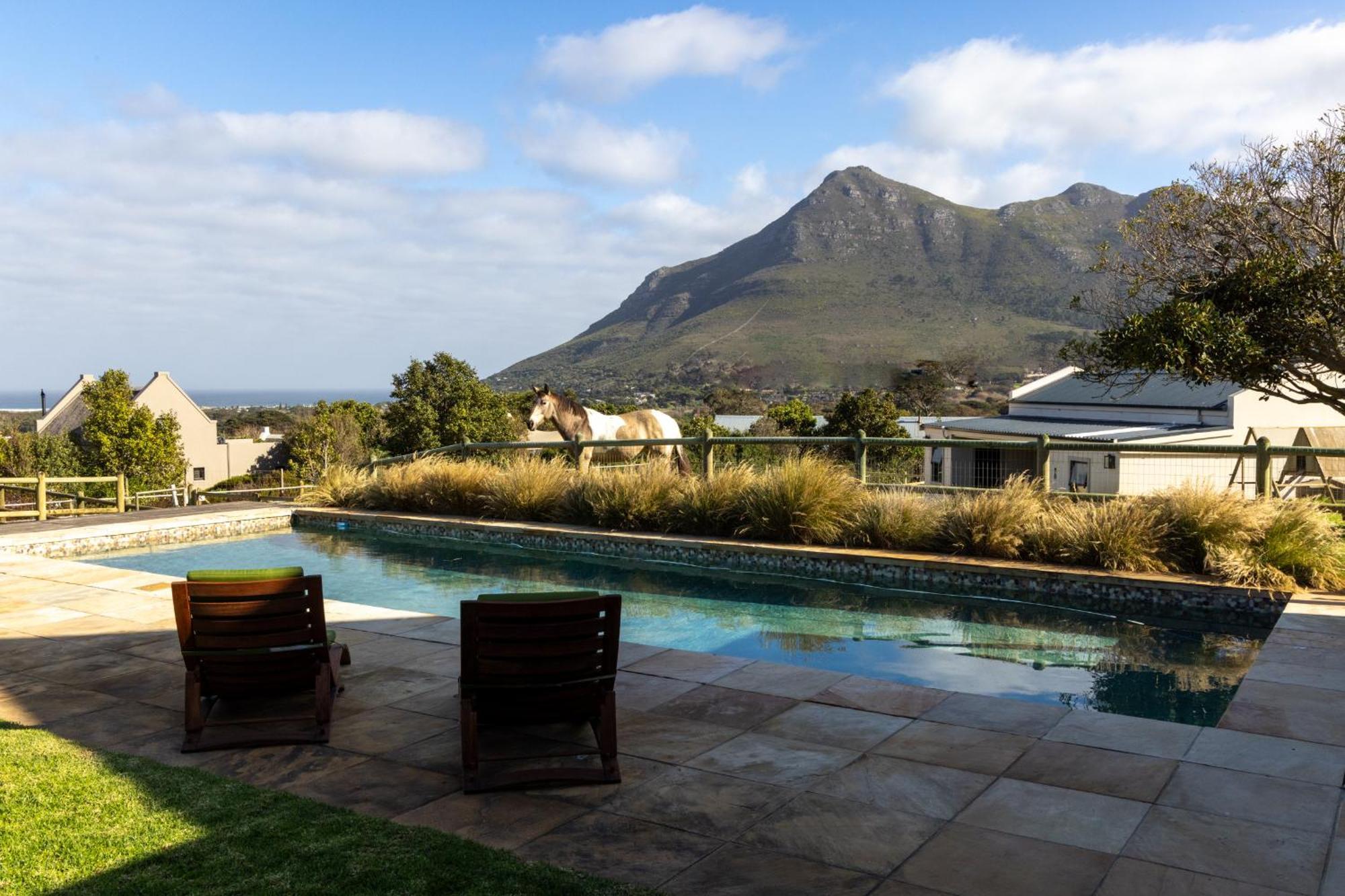 Serene, Thatched Apartment In Noordhoek, Cape Town Ngoại thất bức ảnh